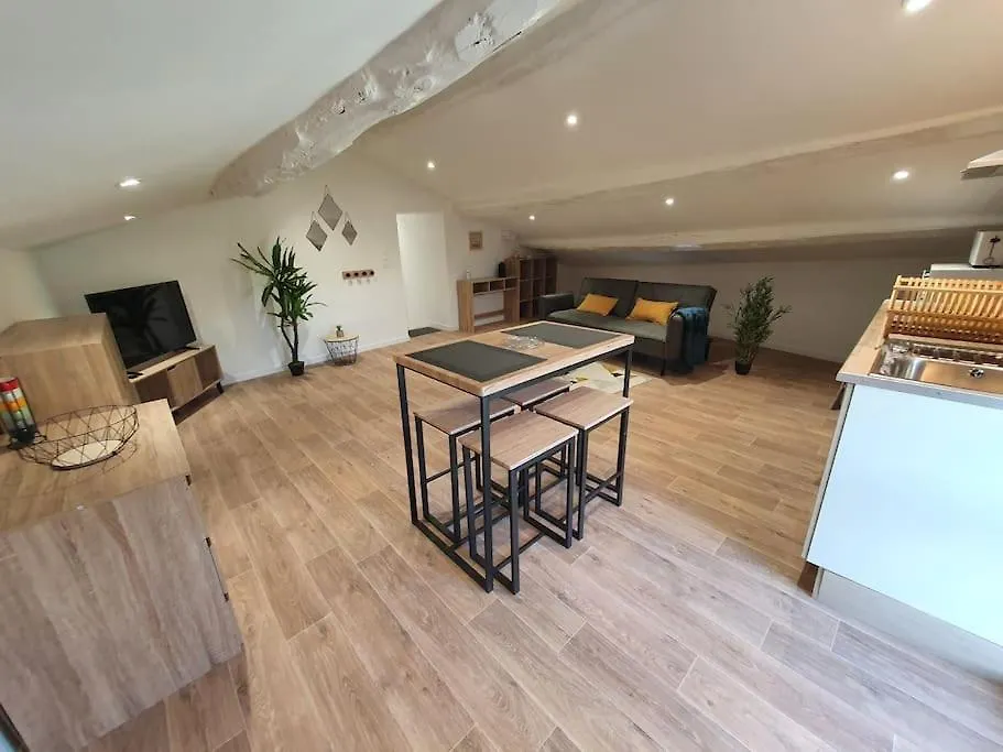 Forez - Appartement Atypique Et Authentique Saint-Galmier France
